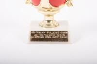 TROPHIES: A group of five assorted trophies - 3