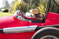 Maserati 250F Tribute - 32