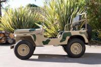 2019 Harrington Willys Jeep Junior Offroad [Updated Description] - 6