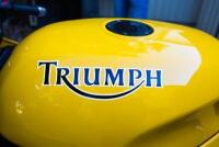 1993 TRIUMPH DAYTONA&nbsp;1200 - 13