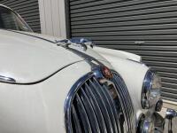 1965 Jaguar Mark II 2.4 Saloon NO RESERVE AMENDED [Location: Berridale, NSW] - 5