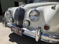 1965 Jaguar Mark II 2.4 Saloon NO RESERVE AMENDED [Location: Berridale, NSW] - 7