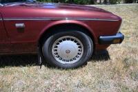 1989 Daimler XJ40 3.6 Saloon NO RESERVE [Location: Berridale, NSW] - 7