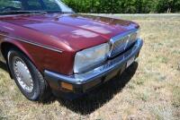 1989 Daimler XJ40 3.6 Saloon NO RESERVE [Location: Berridale, NSW] - 8