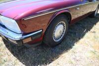 1989 Daimler XJ40 3.6 Saloon NO RESERVE [Location: Berridale, NSW] - 13