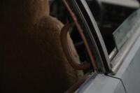 1977 Lamborghini Espada Series 3 Coupe - Project [Location: Melbourne] - 34