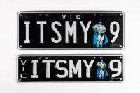 Victorian&nbsp;Custom Plates |&nbsp; ITSMY.9