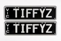Victorian&nbsp;Custom Plates |&nbsp; &nbsp;TIFFYZ