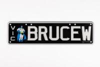 Victorian&nbsp;Custom Plates | BRUCEW - 2