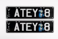 Victorian&nbsp;Custom Plates |&nbsp; &nbsp;ATEY.8