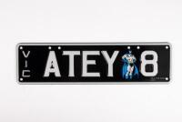 Victorian&nbsp;Custom Plates |&nbsp; &nbsp;ATEY.8 - 2