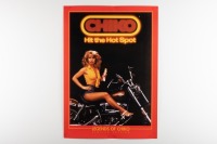 A later production of the Chiko roll ' Hit the Hot Spot' Legends of Chiko Limited Edition advertising poster, 59.5cm high, 42cm wide