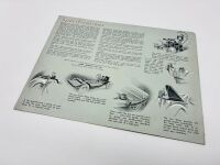 AUSTIN: A group of three Sales Brochures for various models including Seven, Wasp and the model lineup [Location: Sydney] - 13