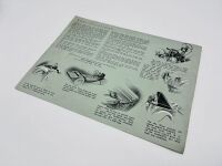 AUSTIN: A group of three Sales Brochures for various models including the 16/6, Wasp and the Enclosed model range [Location: Sydney] - 11