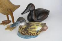 DUCKS: Three various ducks - 2