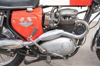 1968 BSA A65 Firebird Mark IV Scrambler [Location: Melbourne] UPDATED NUMBERS - 8
