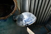 c.1951 Jaguar Mark V 3 1/2-litre Saloon Project NO RESERVE [Location: Sydney] - 32