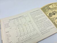 D.K.W.: A Sales Brochure for the F7/F8 models [Location: Sydney] - 8