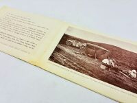 CLASSIC CARS: A group of three Sales Brochures featuring models from Goggomobil, Bedford and Napier [Location: Sydney] - 7