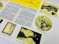 CLASSIC CARS: A group of three Sales Brochures featuring models from American Bantam, Lincoln and Vauxhall [Location: Sydney] - 5
