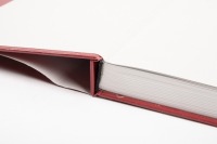 FORMULA JUNIOR: 'Formula Junior - Made in Italy' by Alessandro Silva, hardcover book in outer protective box, published 2021 [Location: Melbourne] - 2