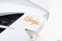 2014 Kawasaki Ninja ZX-14 - Repairable Write-off (RWO) [Location: Melbourne] - 9