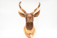 DEER: A solid timber carved deer head with antlers, approx. 74cm high, 52cm deep