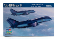 YAKOVLEV YAK-38U: A Hobby Boss (China) 1:48 scale Yakovlev Yak-38U Forger B model kit - 2