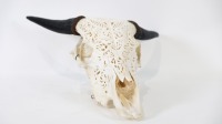 BULL SKULL: An authentic bull skull, with decorative carving, 56cm long