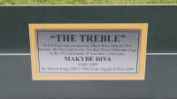 PHAR LAP & MAKYBE DIVA: Two framed and glazed items related to famous race horses Phar Lap & Makybe Diva - 4