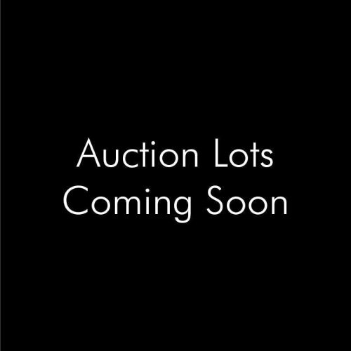 Auction Lots Coming Soon