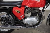 1966 BSA A65 Spitfire MKII [Location: Melbourne] - 4