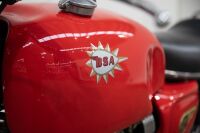 1966 BSA A65 Spitfire MKII [Location: Melbourne] - 14