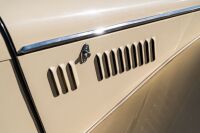 1954 MG TF Roadster [Location: Sydney] - 14