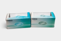 JAPANESE: Two 1:43 scale Ebbro models of Japanese marque cars, includes a 1971 Nissan Cherry Coupe X1, and a 1968 Isuzu 117 Coupe - 2