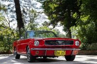 1966 Ford Mustang 289 V8 Convertible [Location: Perth] - 12