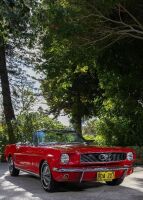 1966 Ford Mustang 289 V8 Convertible [Location: Perth] - 13