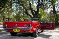 1966 Ford Mustang 289 V8 Convertible [Location: Perth] - 17
