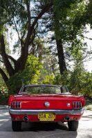 1966 Ford Mustang 289 V8 Convertible [Location: Perth] - 19