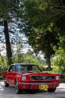 1966 Ford Mustang 289 V8 Convertible [Location: Perth] - 68