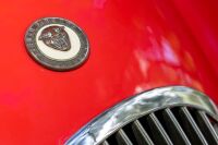 Jaguar XK120 OTS Roadster - 19