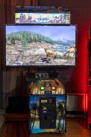 BIG BUCK: A c2012 Big Buck HD Panorama, Sony believed 60", with 2015 update, offline dongle, working order - 12