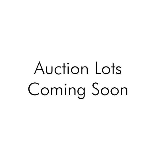 Auction Lots Coming Soon