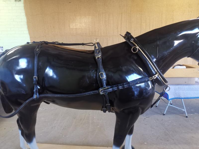 Types And Variations To Harness – Carriage Of Occasion
