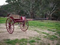 MOTORBACK SULKY BY DOUGLAS & PATTERSON, WAGGA - 2