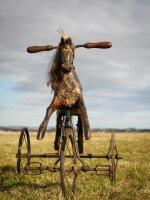 A VERY RARE CHILD'S EQUESTRIAN TRICYCLE, English 1890s - 2