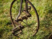A VERY RARE CHILD'S EQUESTRIAN TRICYCLE, English 1890s - 5