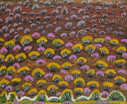 IWANA (ANTJAKITJA) KEN (BORN 1937), Wildflowers 2008, synthetic polymer on canvas, 52 x 64cm
