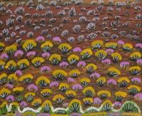 IWANA (ANTJAKITJA) KEN (BORN 1937), Wildflowers 2008, synthetic polymer on canvas, 52 x 64cm