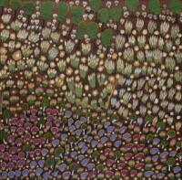 IWANA (ANTJAKITJA) KEN (BORN 1937), Untitled 2009, synthetic polymer on linen, 101 x 99cm